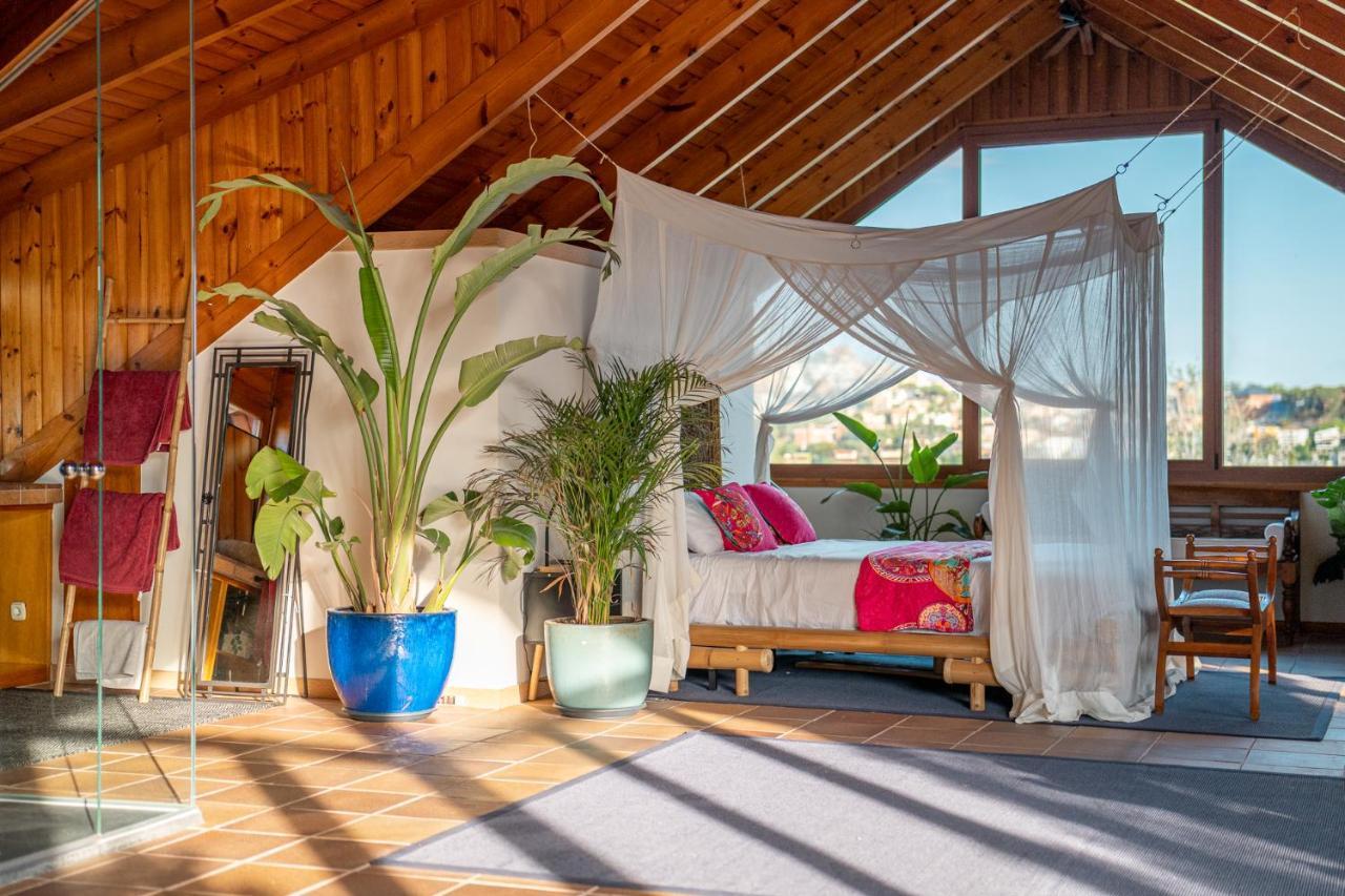 Barcelona'S Tropical Oasis Villa Sant Just Desvern Kültér fotó