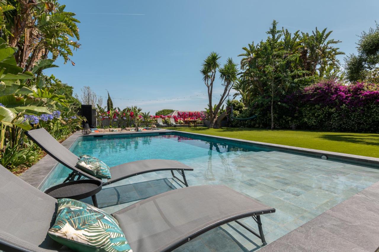 Barcelona'S Tropical Oasis Villa Sant Just Desvern Kültér fotó